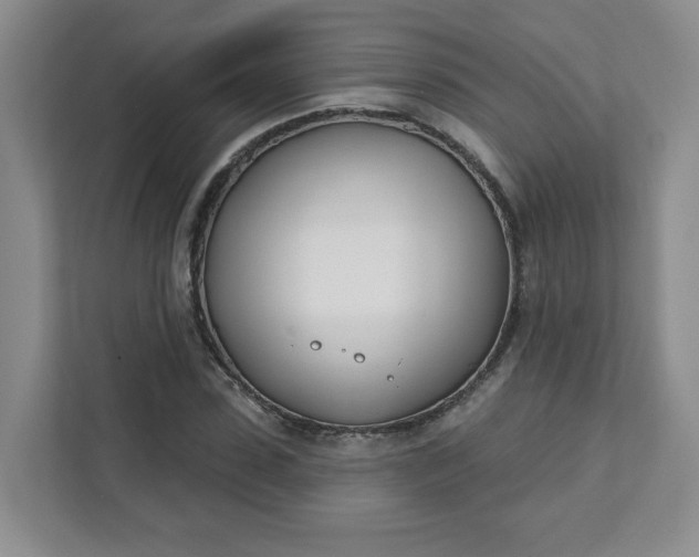 X0000111890923200908061331