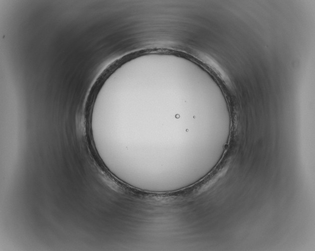 X0000111890924200908061331