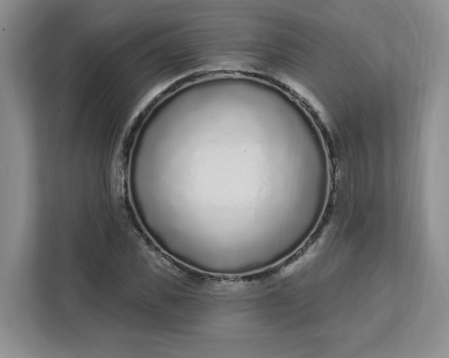 X0000111890925200908061331