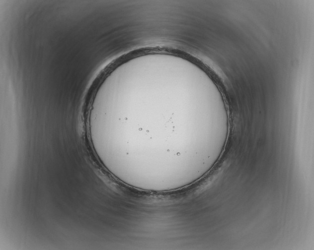 X0000111890927200908061331