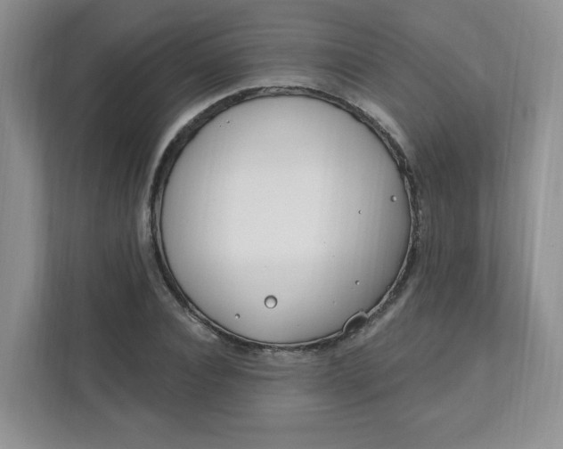 X0000111890928200908061331