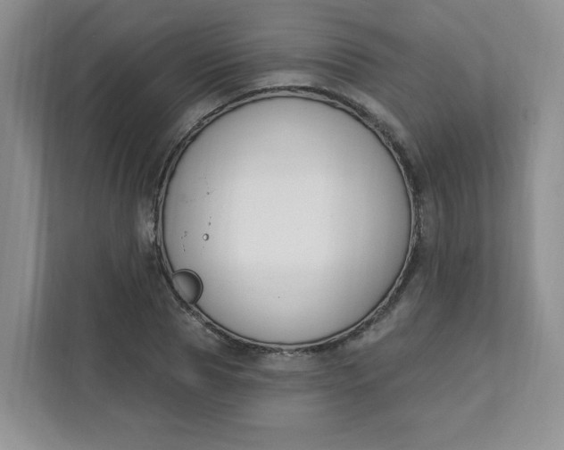 X0000111890929200908061331