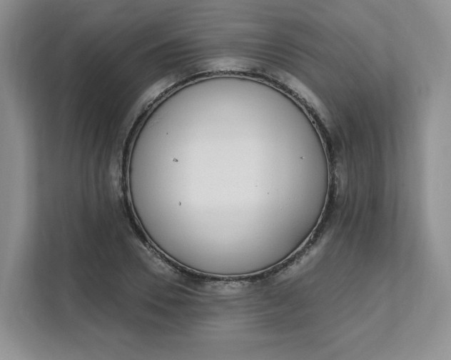 X0000111890930200908061331