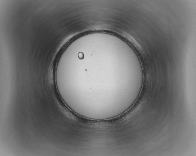 X0000111890934200908061331