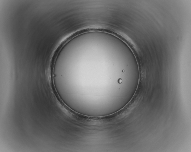 X0000111890935200908061331