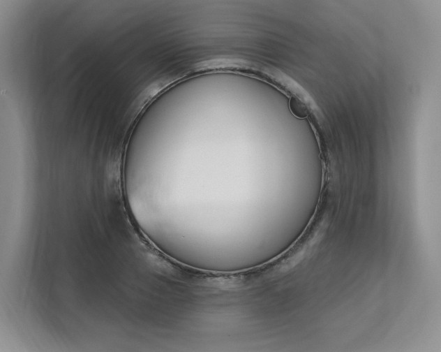 X0000111890937200908061331