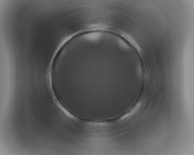 X0000111890941200908061331