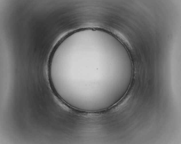 X0000111890942200908061331