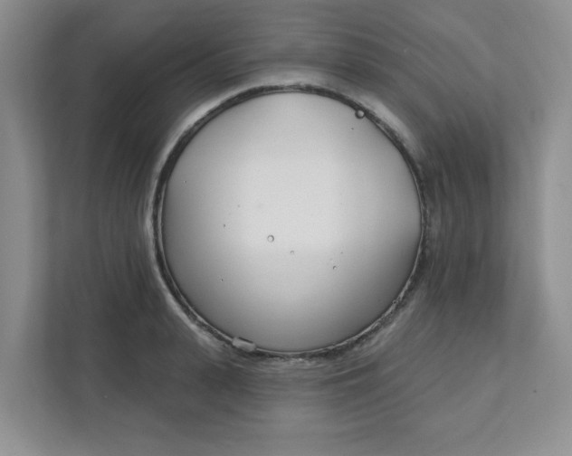 X0000111890943200908061331