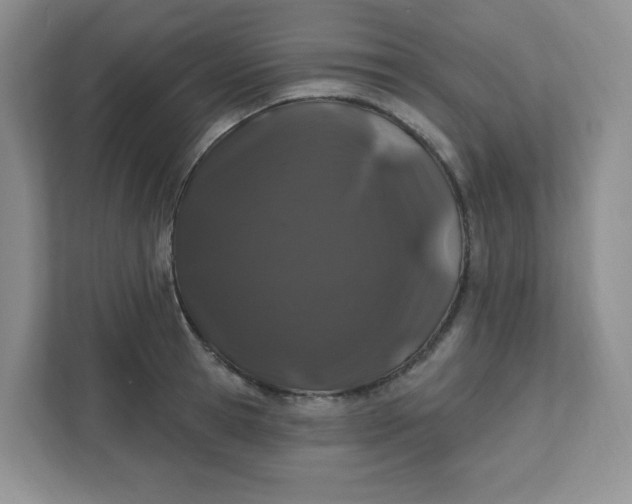 X0000111890945200908061331