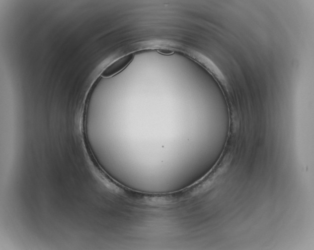 X0000111890946200908061331