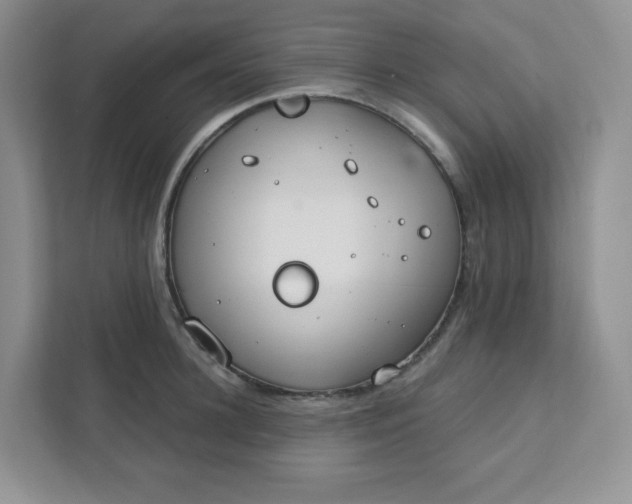 X0000111890948200908061331