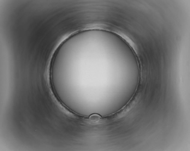 X0000111890949200908061331