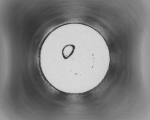 X0000111890950200908061331