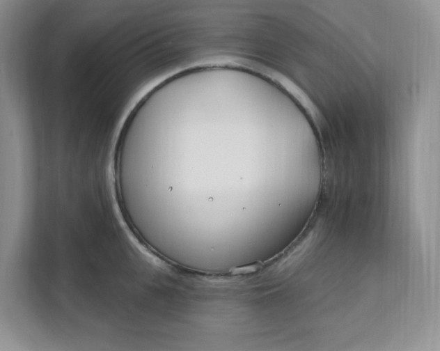 X0000111890951200908061331