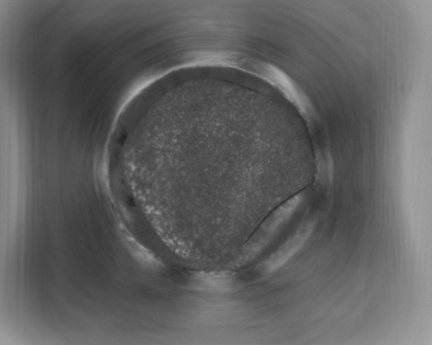 X0000111890952200908061331