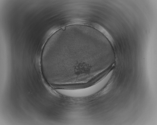 X0000111890954200908061331