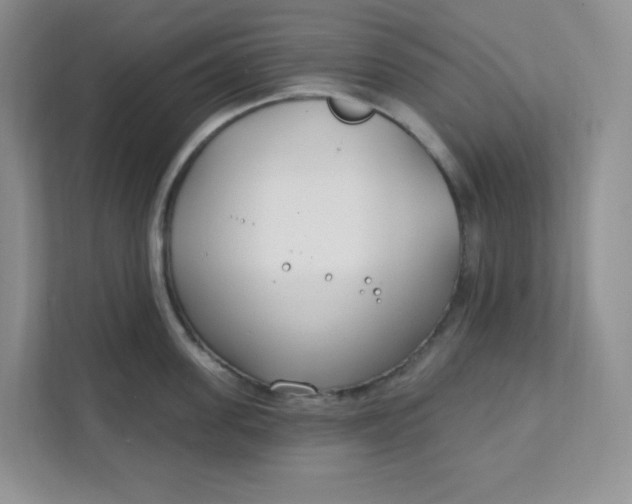 X0000111890955200908061331