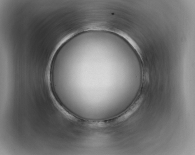 X0000111890957200908061331