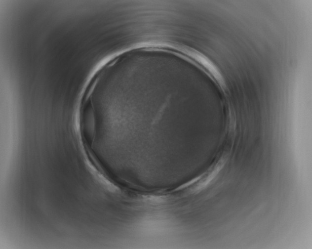 X0000111890958200908061331