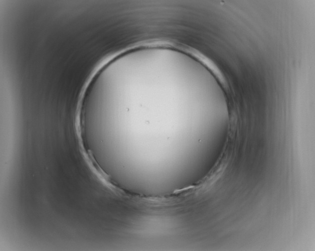 X0000111890959200908061331