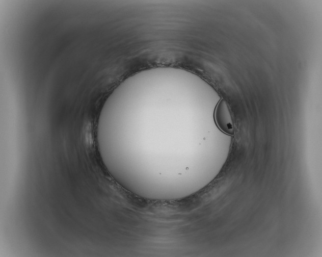 X0000111890962200908061331