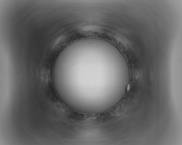 X0000111890965200908061331