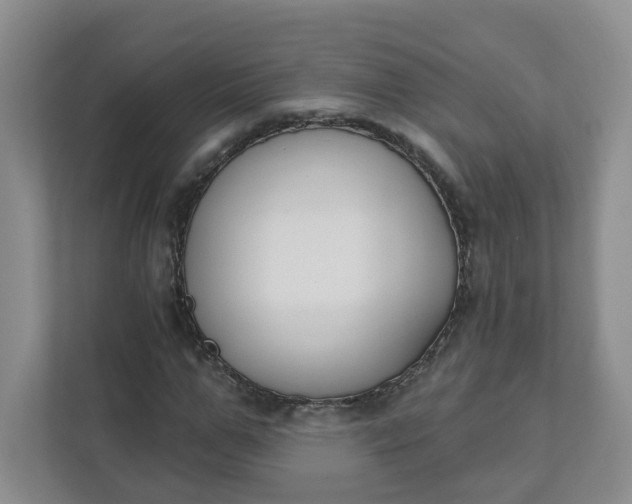 X0000111890967200908061331