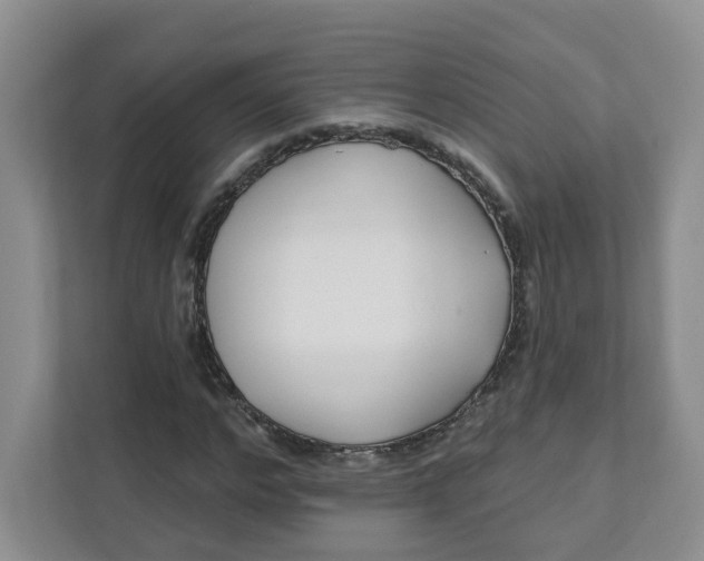 X0000111890968200908061330