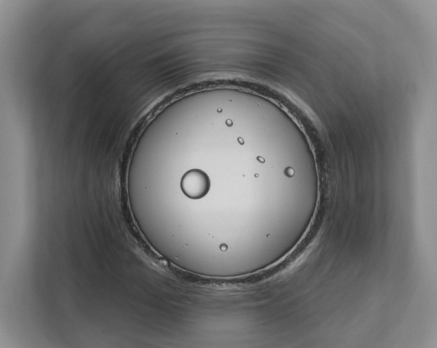 X0000111890969200908061330