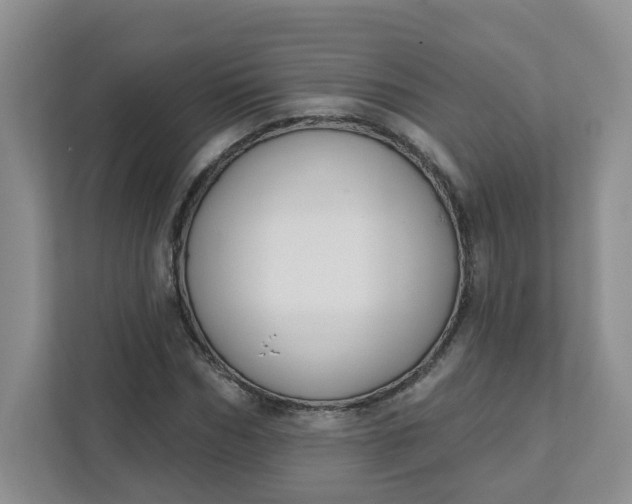 X0000111890970200908061330