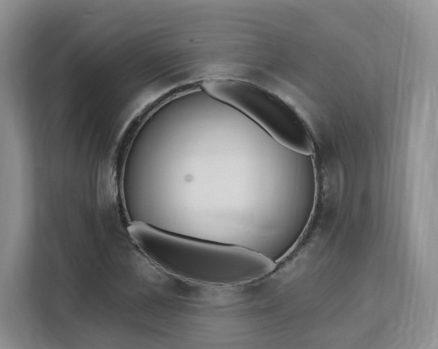 X0000111890973200908061330