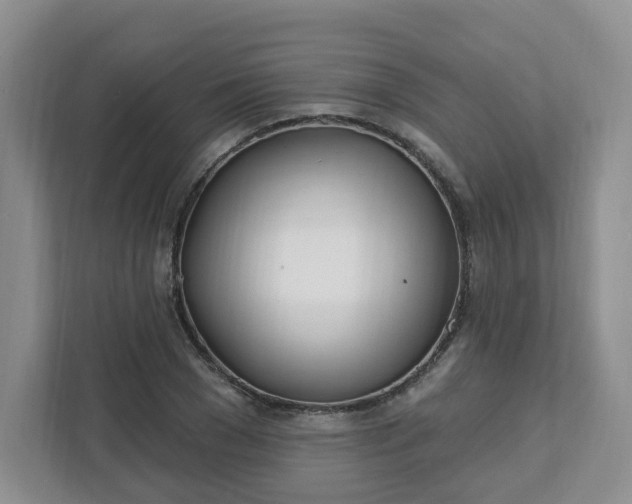 X0000111890977200908061330