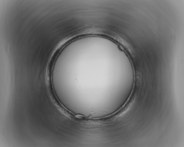 X0000111890981200908061330