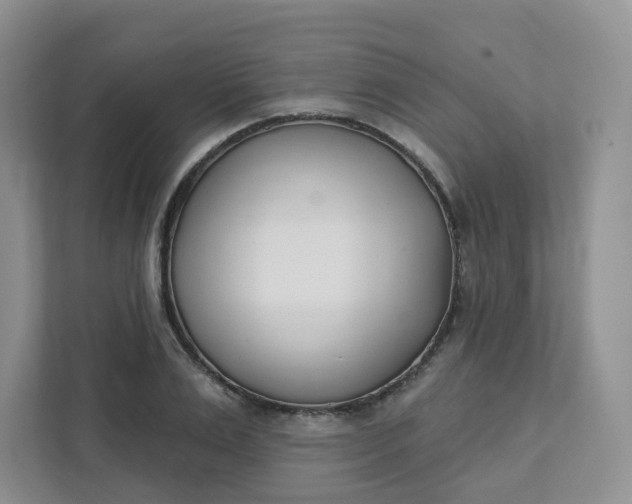 X0000111890983200908061330