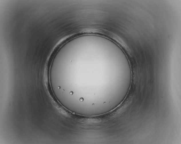 X0000111890984200908061330