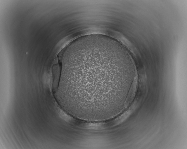 X0000111890985200908061330