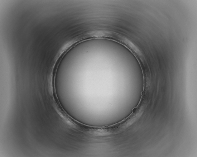 X0000111890986200908061330