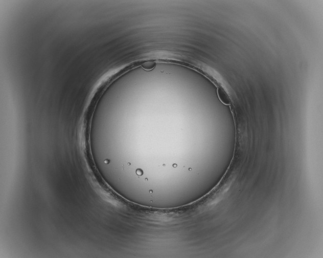 X0000111890987200908061330