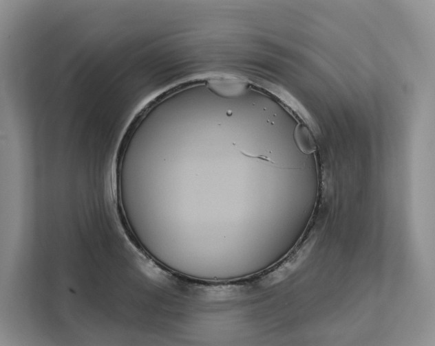 X0000111890988200908061330