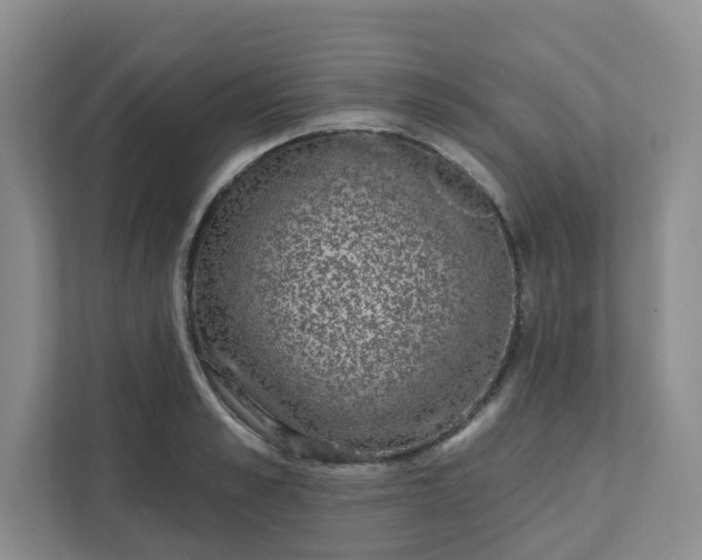 X0000111890989200908061330