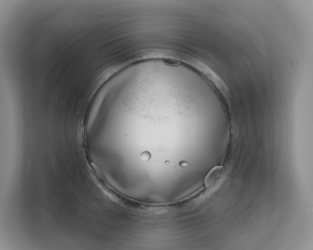 X0000111890993200908061330