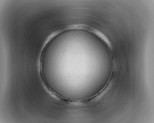 X0000111890994200908061330