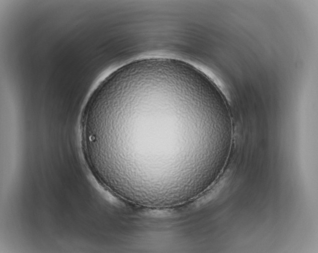 X0000111890998200908061330