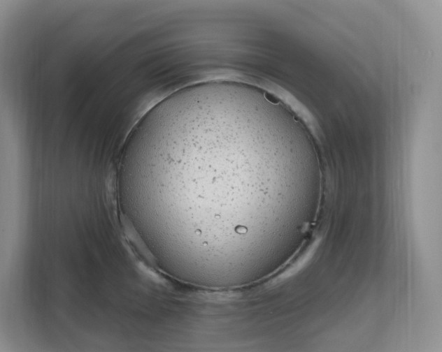 X0000111891001200908061330