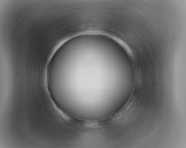 X0000111891006200908061330