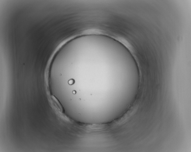 X0000111891008200908061330