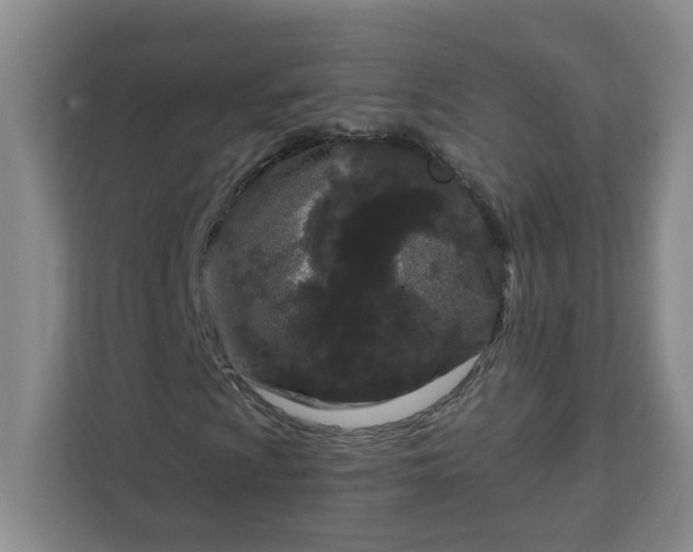 X0000111891009200908061329