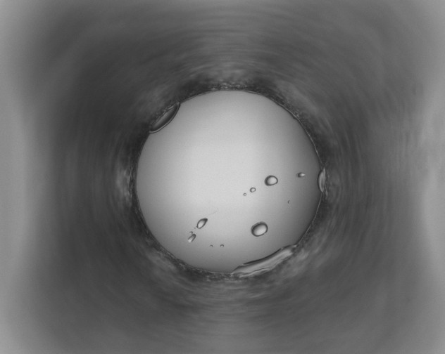 X0000111891010200908061329