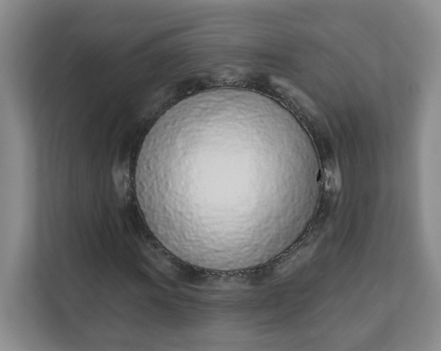 X0000111891011200908061329